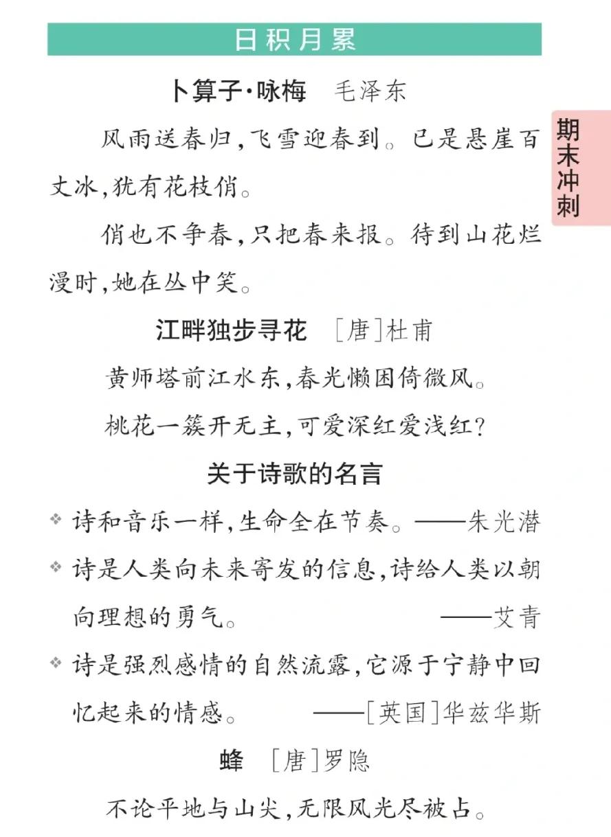四年级上册语文期末考点梳理,四年级下册语文期末复习重点必考