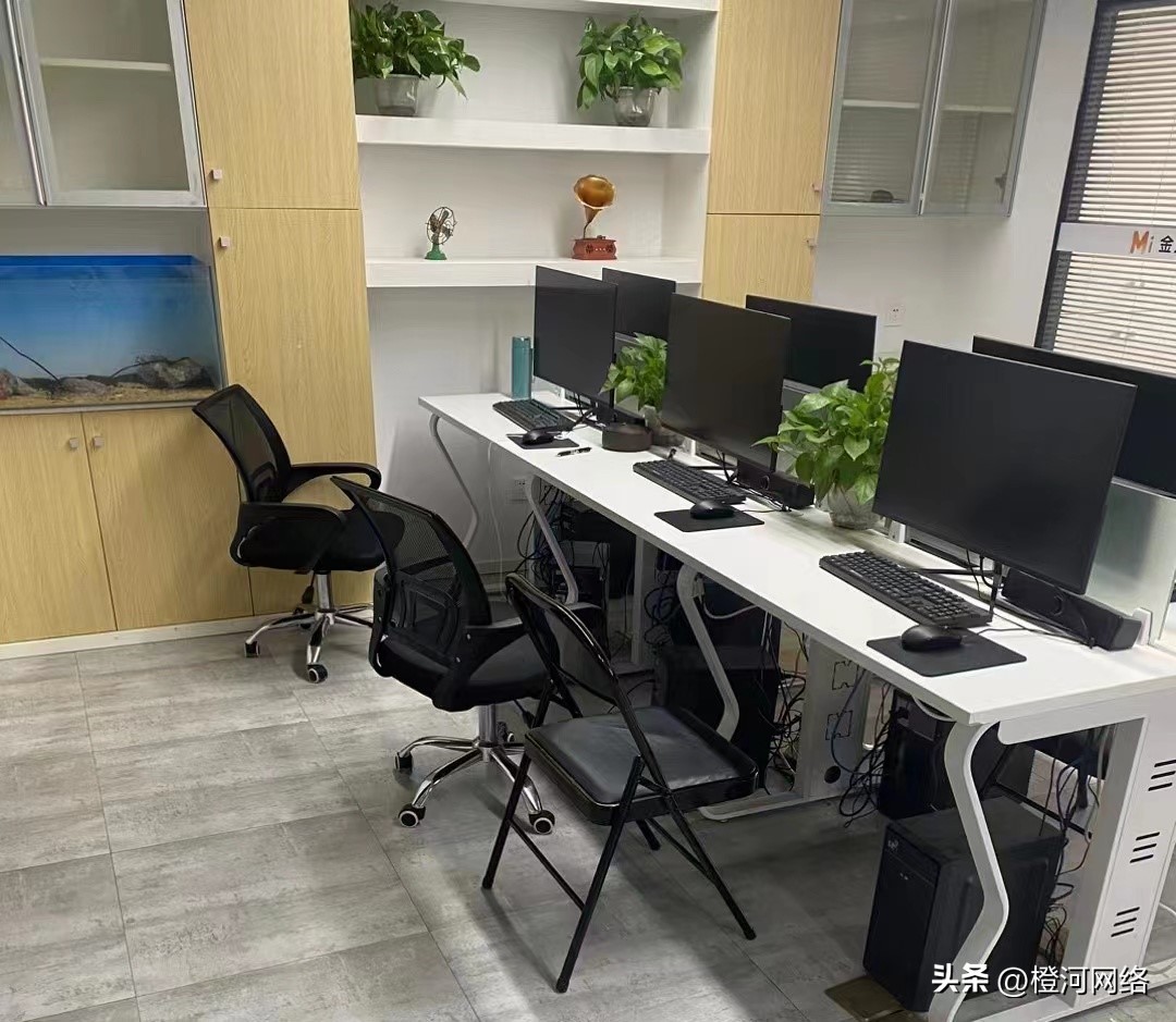 国外问卷调查到底是不是真的,海外问卷调查从什么时候开始的