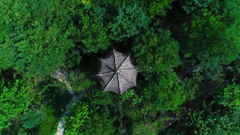 枣强森林公园和千亩森林公园,衡水枣强县天然氧吧