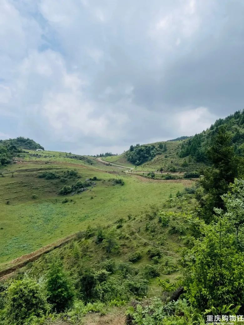 小长假旅游景点大全,夏季周边旅游美食之旅