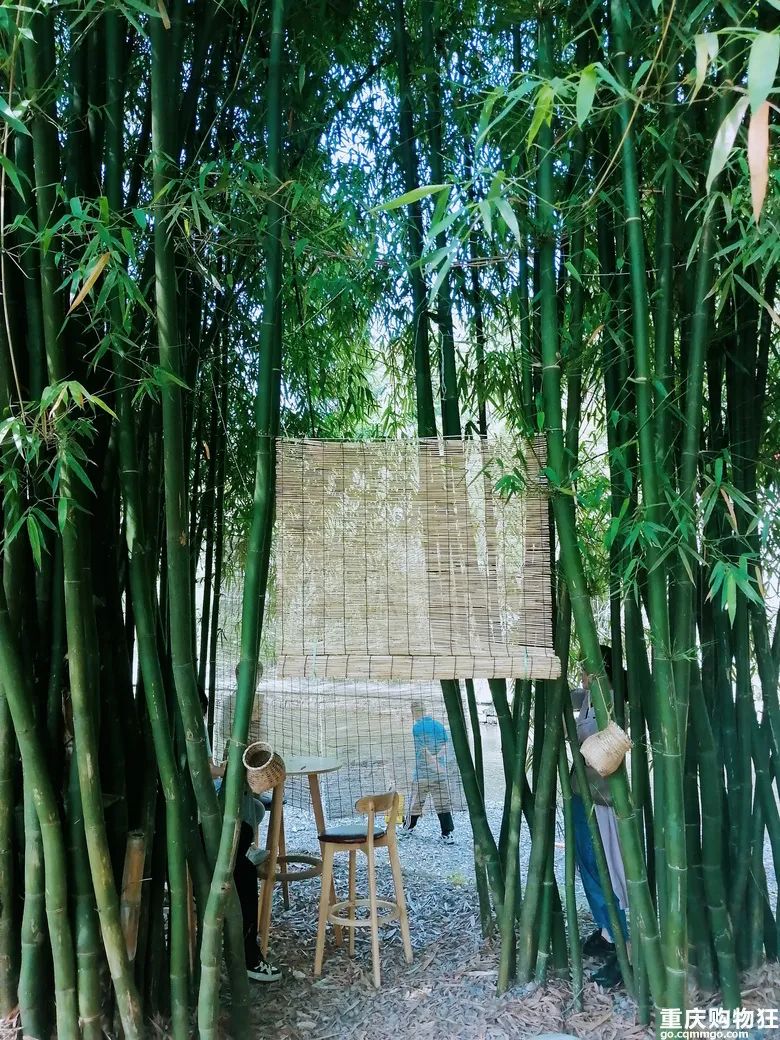 小长假旅游景点大全,夏季周边旅游美食之旅