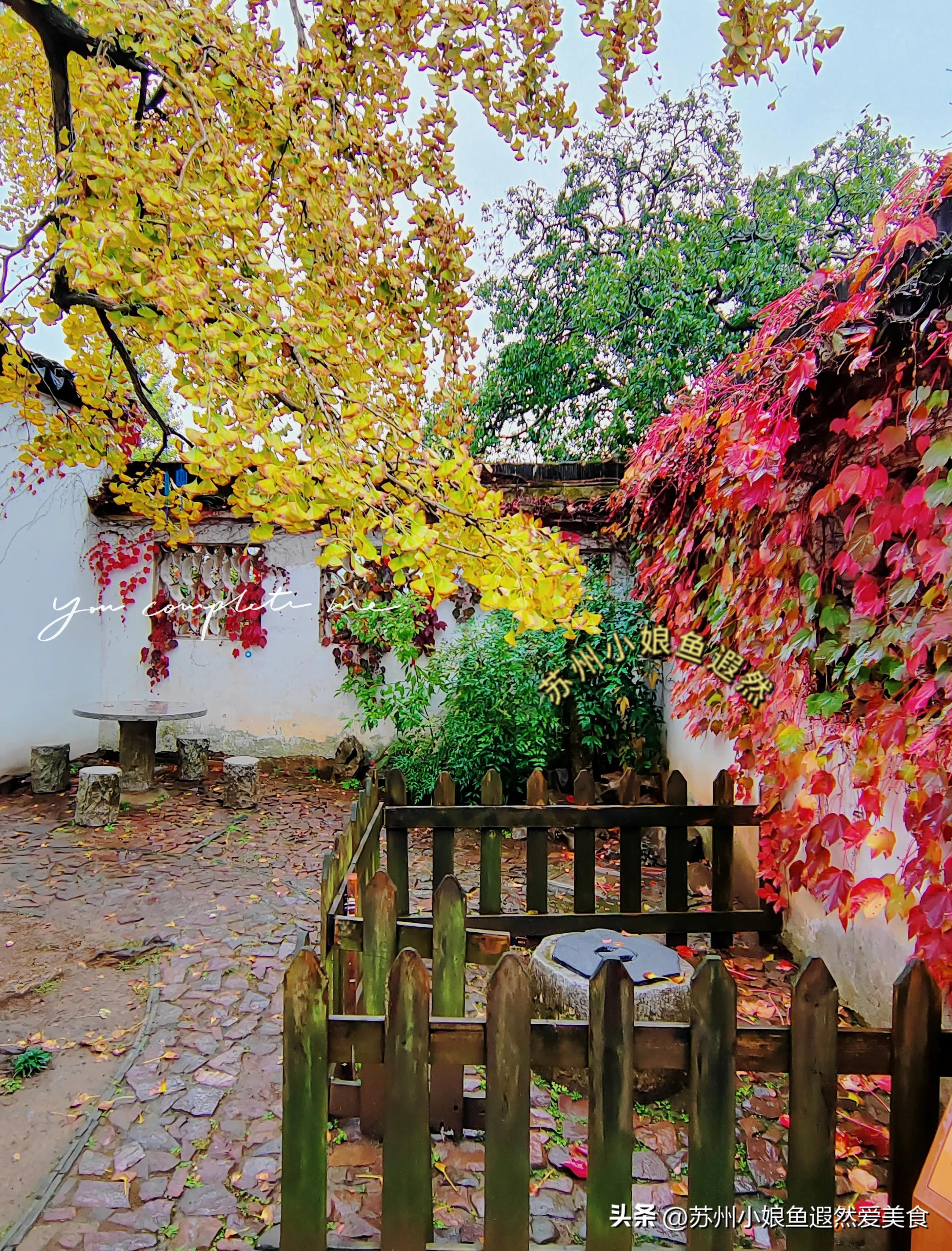 苏州古寨旅游攻略,苏州一日游攻略探索更好玩的景点