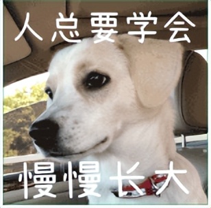 “账号”还是“帐号”?这些字,多少人写错了→