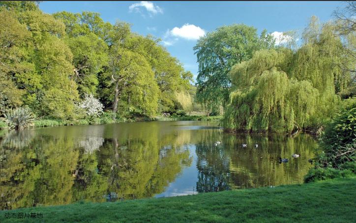 体育单招报名资格要求,陕西理工大学2023年体育单招