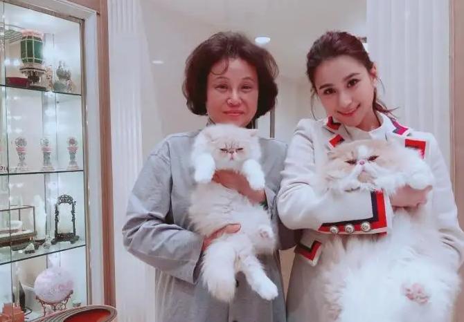 何超莲赌王最美千金,吴克群评价何超莲视频