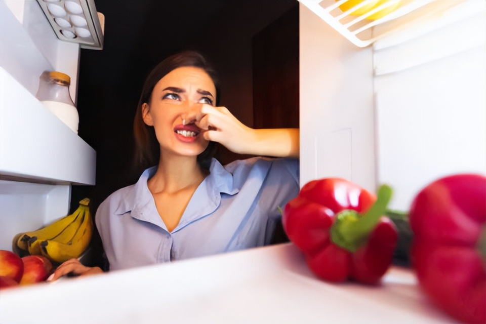 冰箱除味剂怎么除去,冰箱里面有异味用冰箱除味器