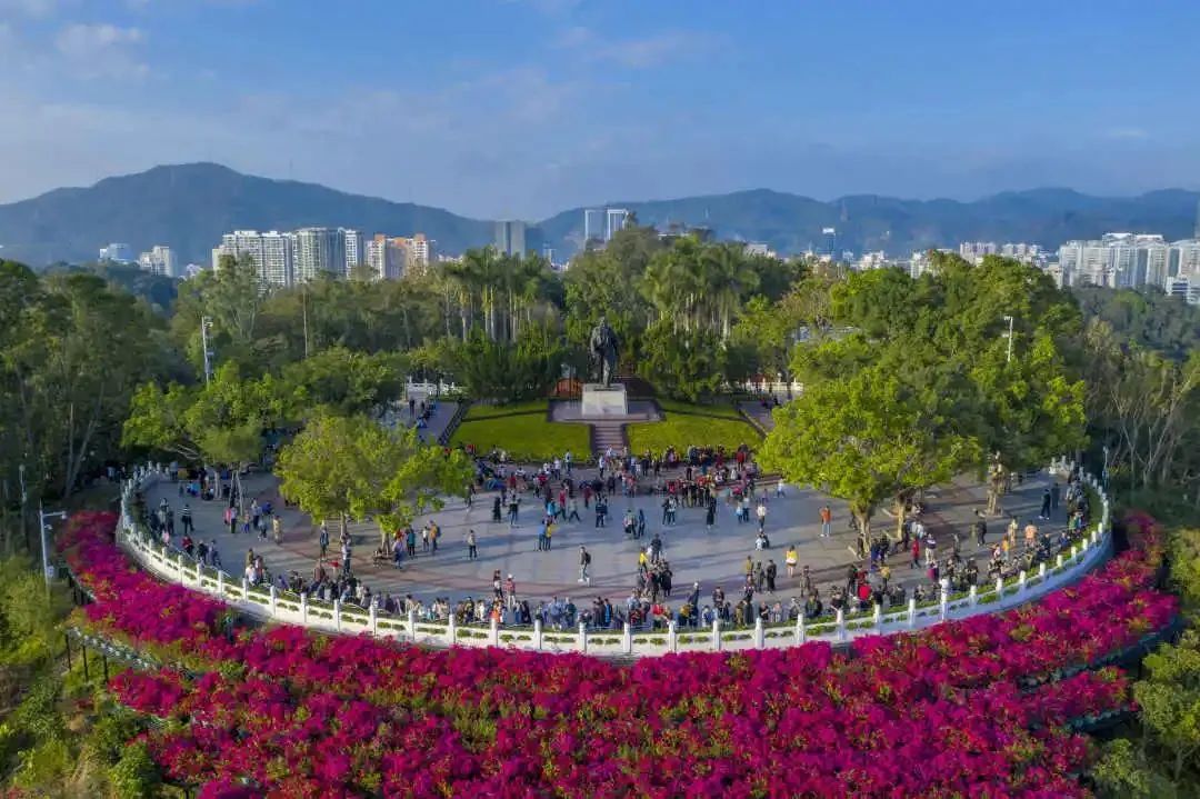 春天去哪儿玩？ABCD四条线路带你“狂飙”福田！