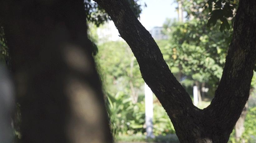 打奶茶真的好喝吗,之前很火的爆打奶茶