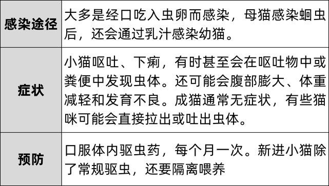 猫咪瘦了吃什么发胖,猫咪增肥吃什么罐头测评