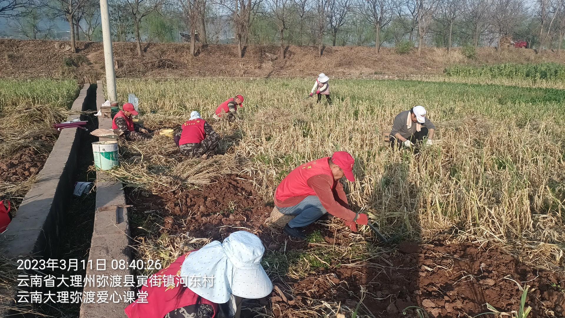 爱心助农公益活动,爱心助农服务活动
