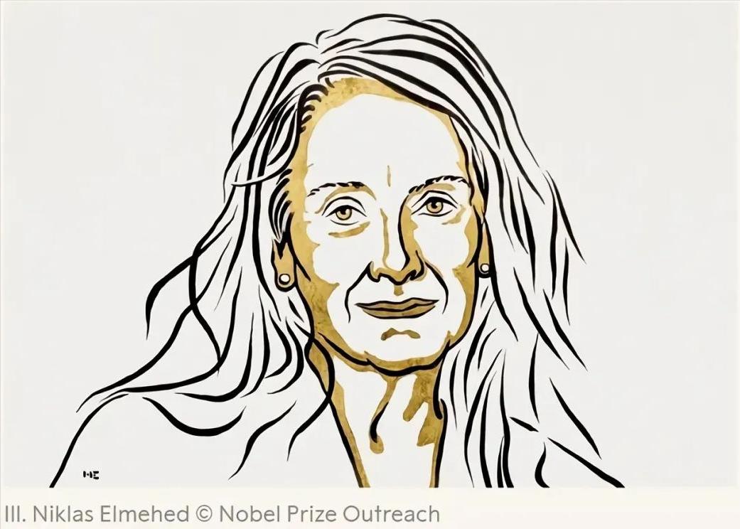 法国获奖的中国作家 (有哪些法国作家获得诺贝尔文学奖)