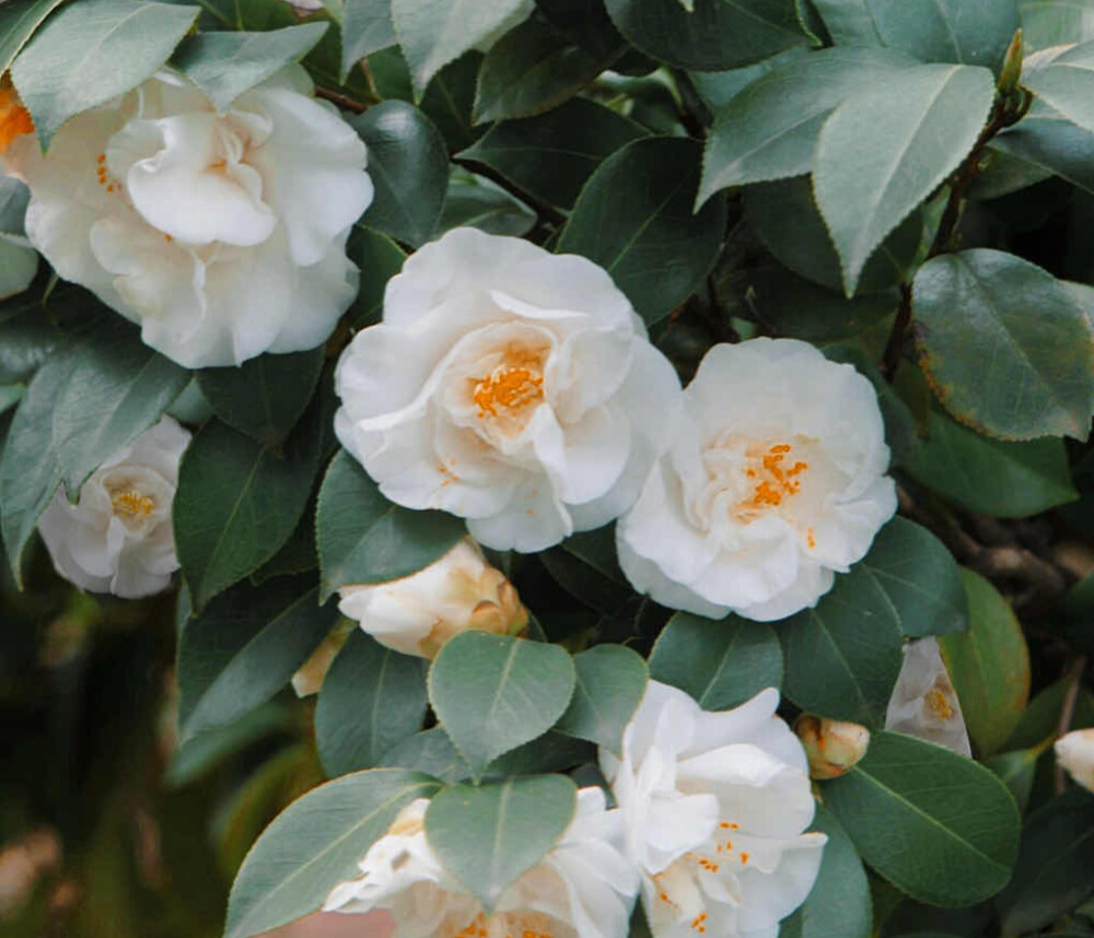 最惹不起的四大星座脾气大城府深,心思缜密能够洞悉别人内心的星座