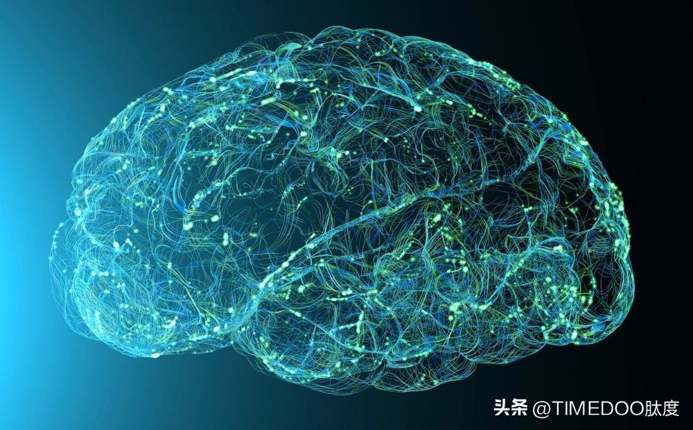 Klotho注射液改善老年猕猴脑功能