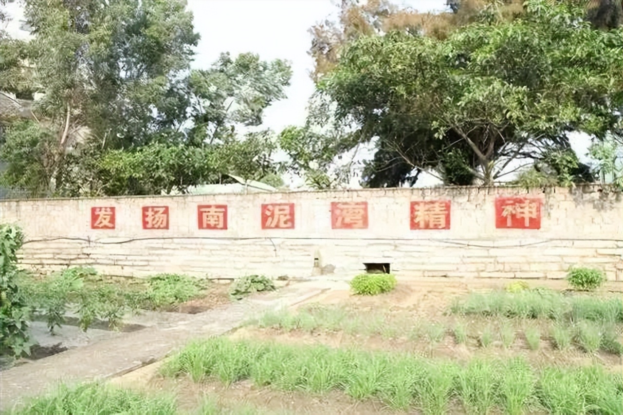 70年代初，我们到八一镇尼西沟大生产。莲花白最大的有16斤…