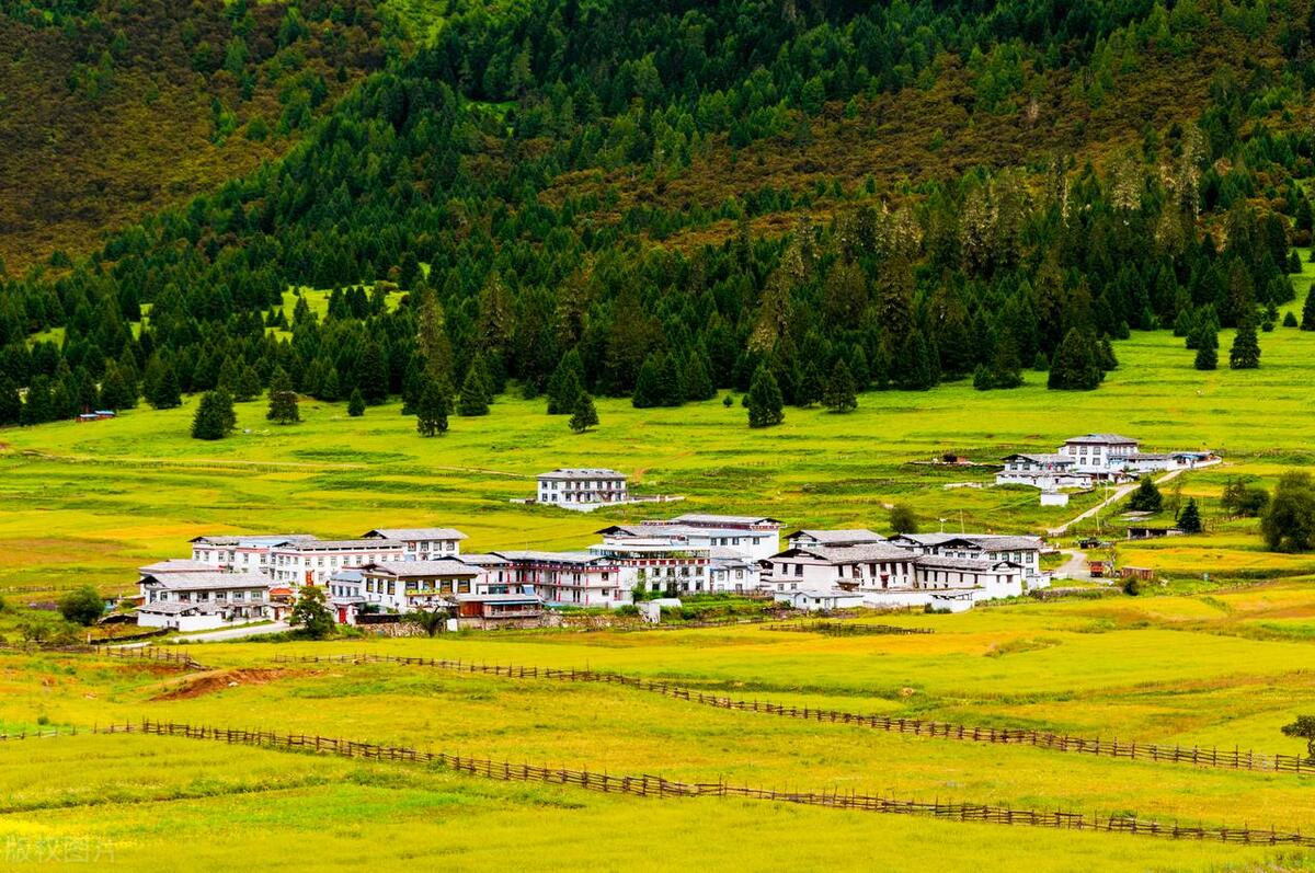 藏南林芝管辖地图,西藏藏南林芝县