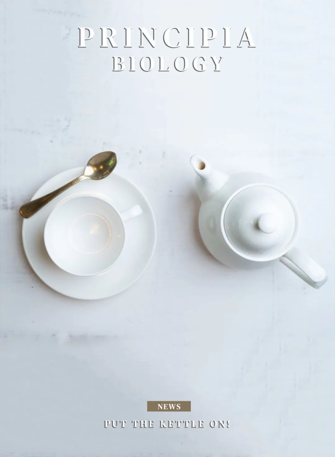 长期喝冰糖茶对身体有什么好处,早上空腹喝鸡蛋茶的好处与坏处