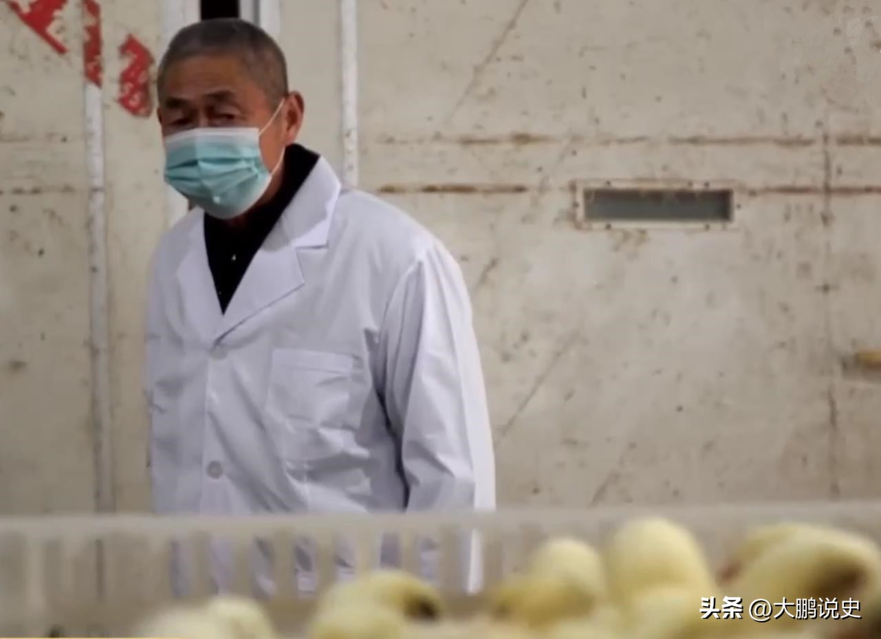 2021年山东富二代研制凤凰蛋，被嘲笑人傻钱多，一年狂赚1000万