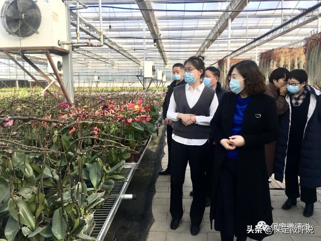 保定大v打卡长城汽车,大v保定探店