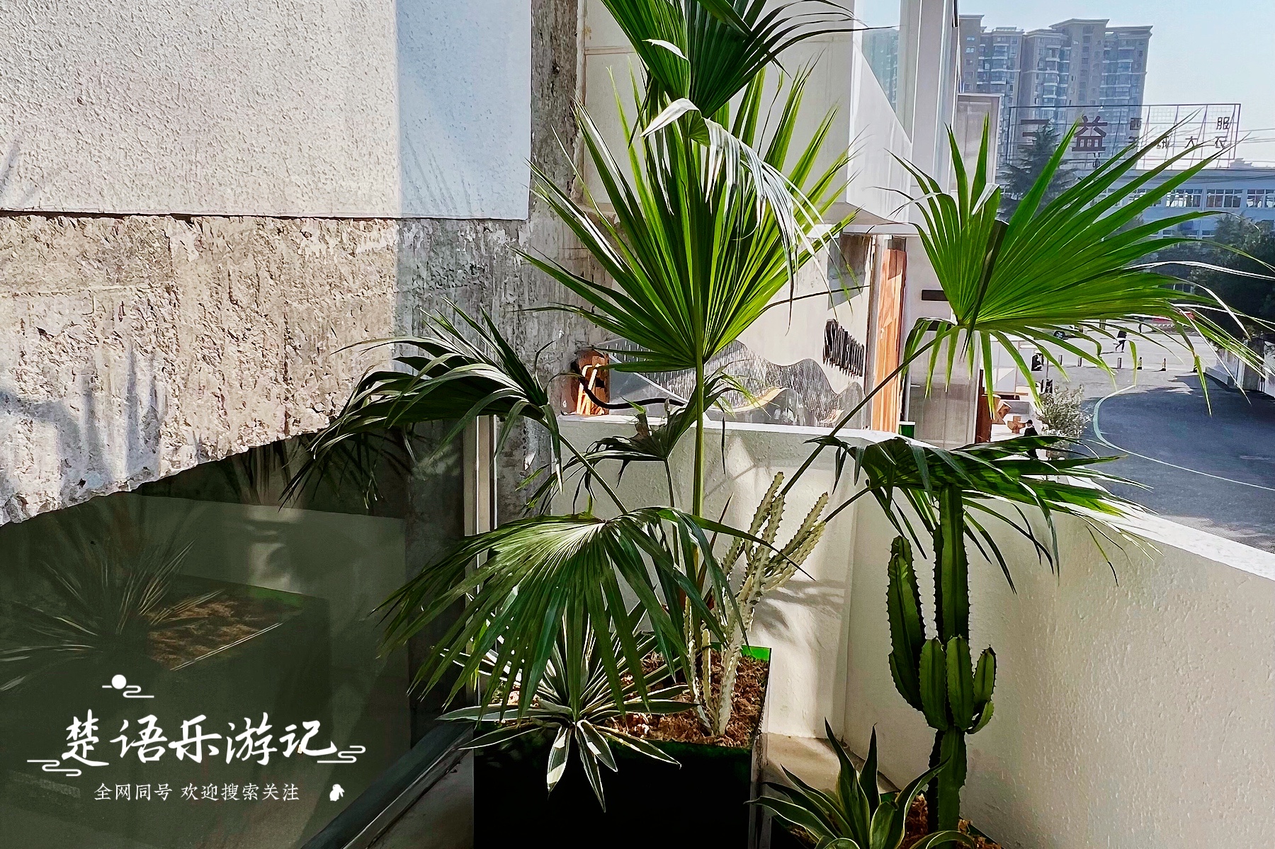 宁波新网红街,宁波潮流聚集地