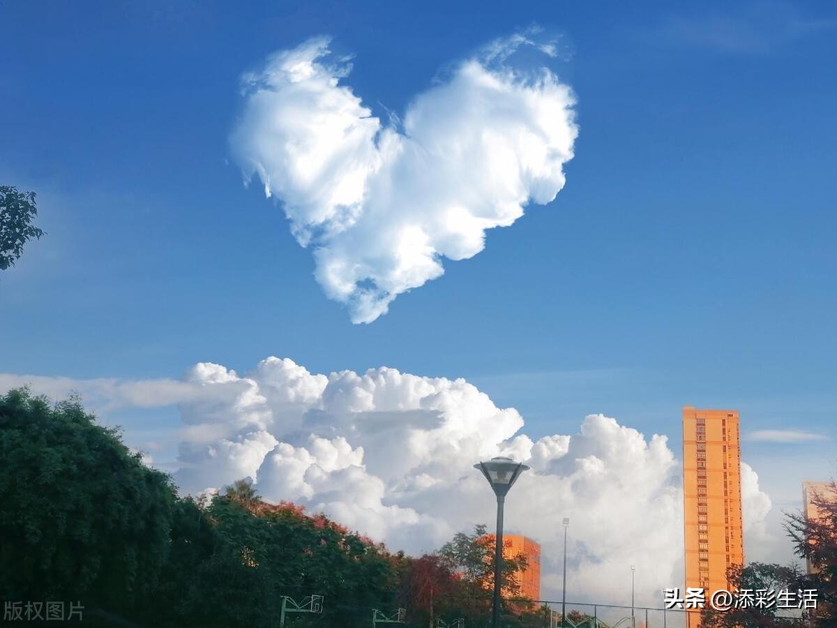 中考引经据典的感恩作文范文,中考满分作文感恩类大全