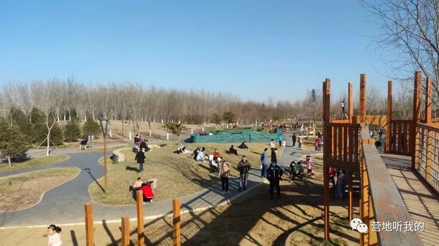 捞小河里的小蝌蚪,上海抓小蝌蚪的公园