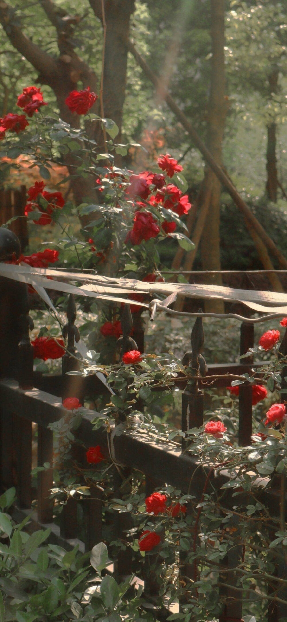 街角花店图片壁纸,花店壁纸图片大全