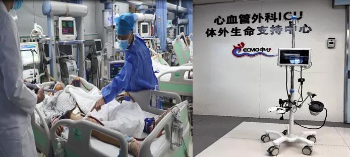 今天迈瑞最新消息,今日迈瑞新闻最新消息