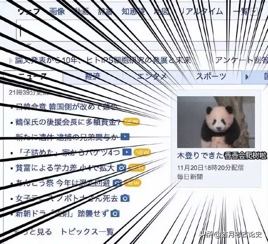 旅日大熊猫回国日本人反应,四只旅日大熊猫陆续归国