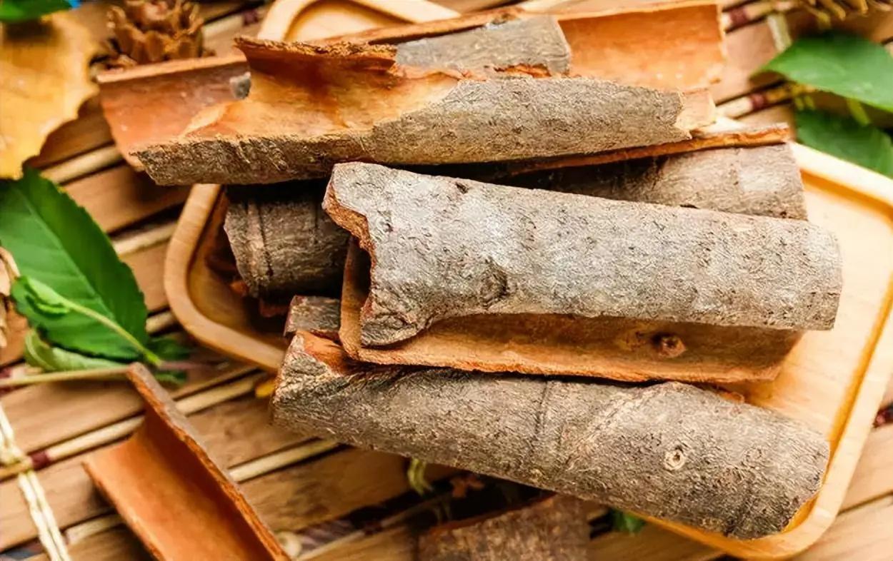 为什么桂皮剥下来树还能活,桂圆树和桂皮树是一种吗