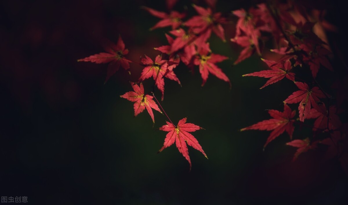 亲密沟通的六个建议,学会这四个沟通技巧让你受益终身