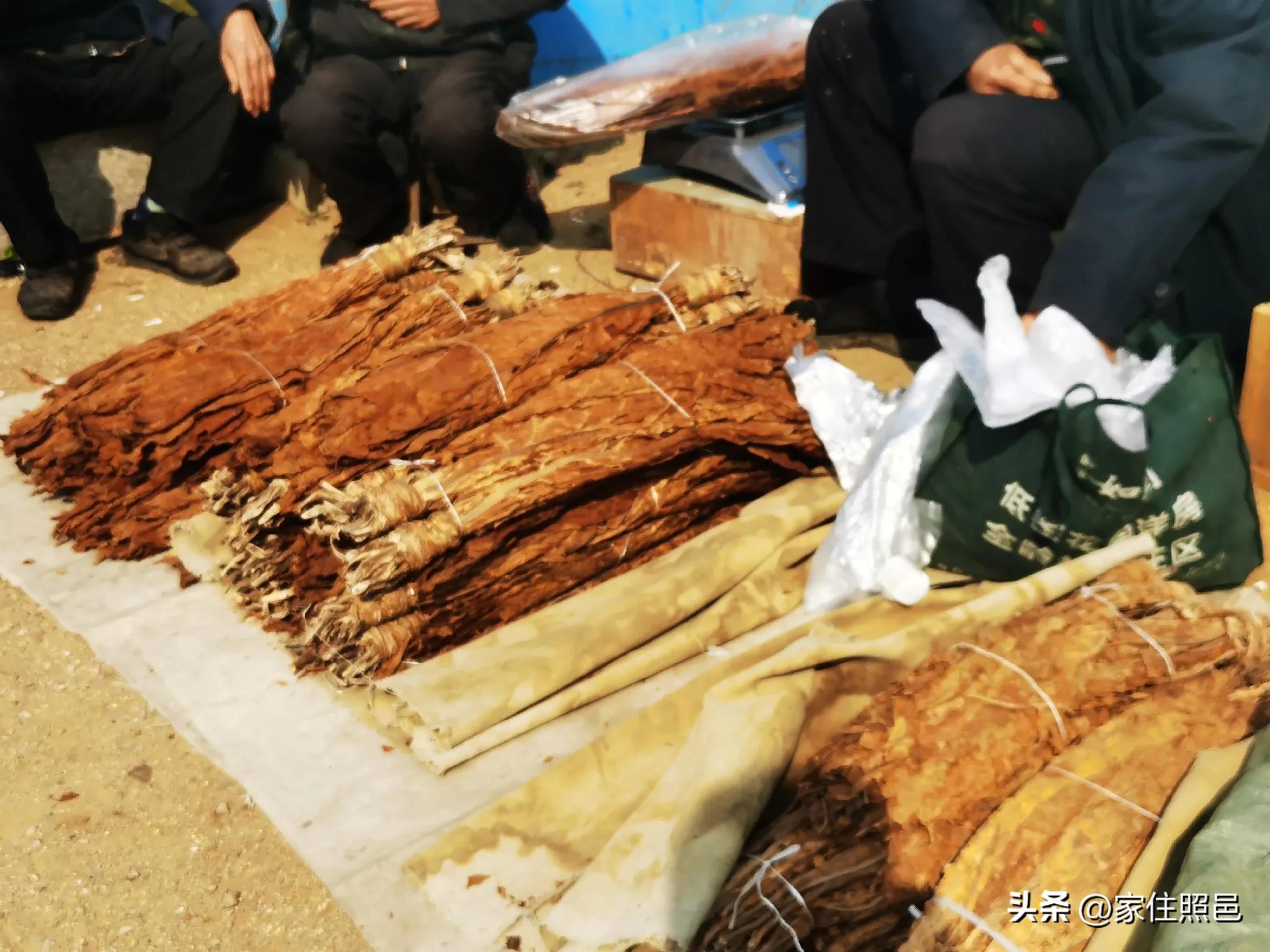 海曲岁月寻访海曲中路98号市*草烟**专卖局*草烟**公司往事