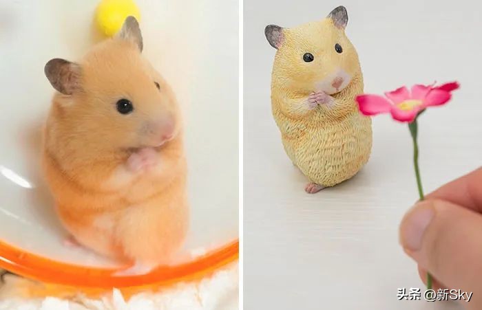 哈哈哈，这个神经手办又双叒更新了，笑惨我了