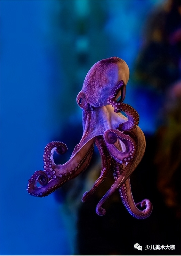 创意美术简单易学,创意美术幼儿