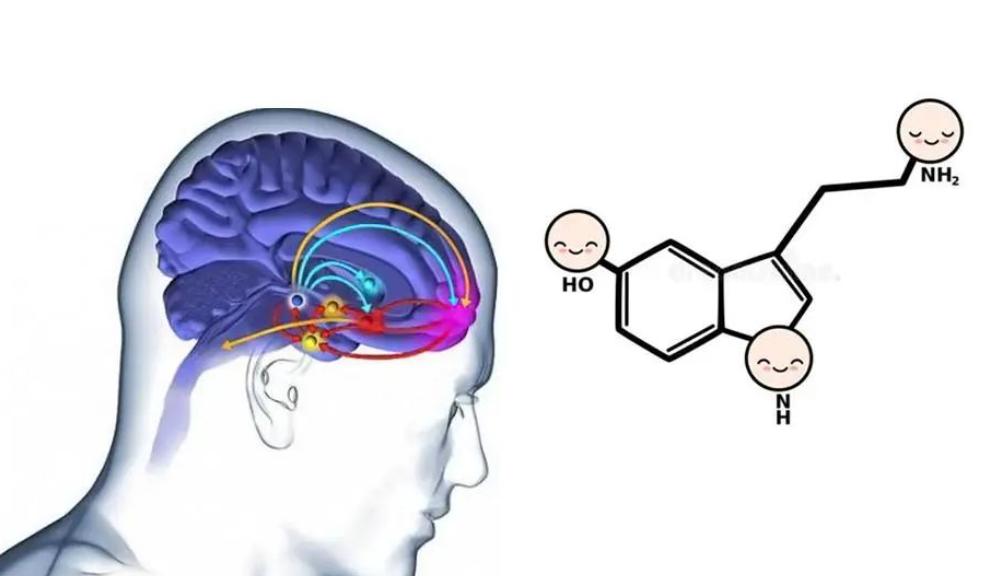 治疗阳痿的维生素,治疗阳痿缺哪种营养