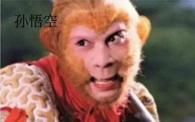 《柳梢青·谴诗坛乱象（《词林正韵》正体》注解⑵