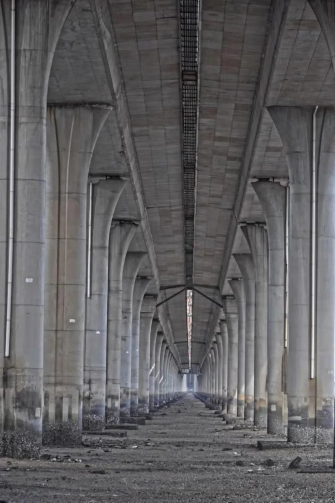 年度热剧2019,年度好剧开端