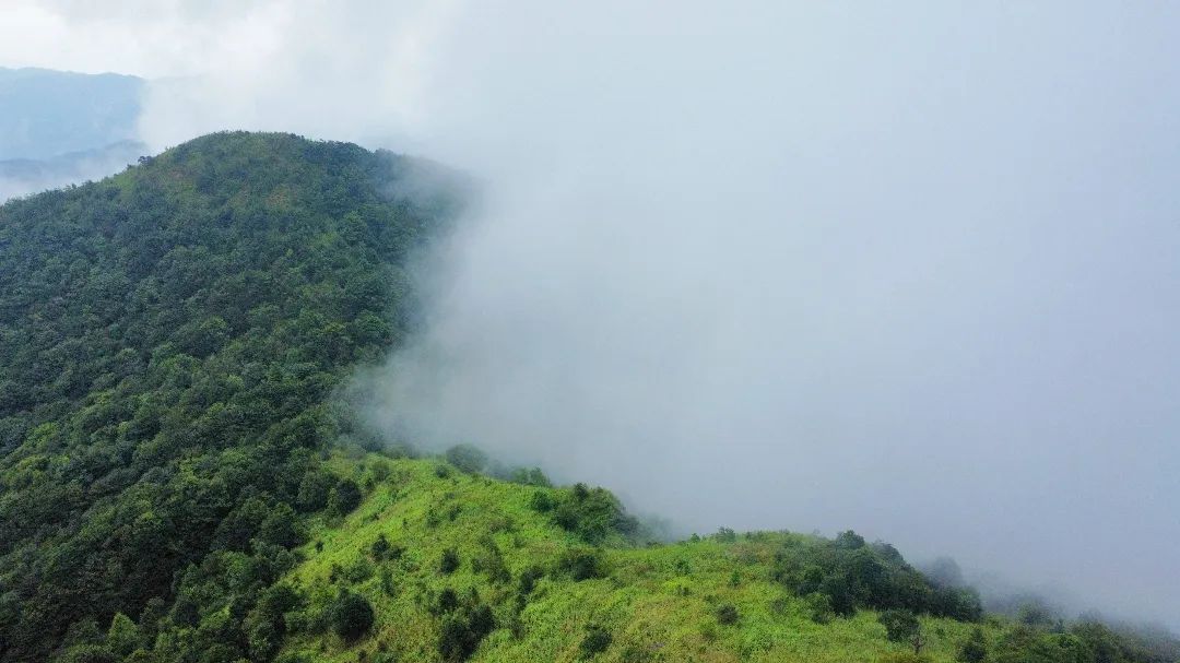 广州从化第一峰天堂顶,广州第一峰从化