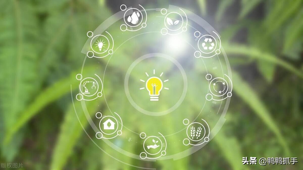 智慧农业保障早稻丰产,水稻高效智慧农业应用技术