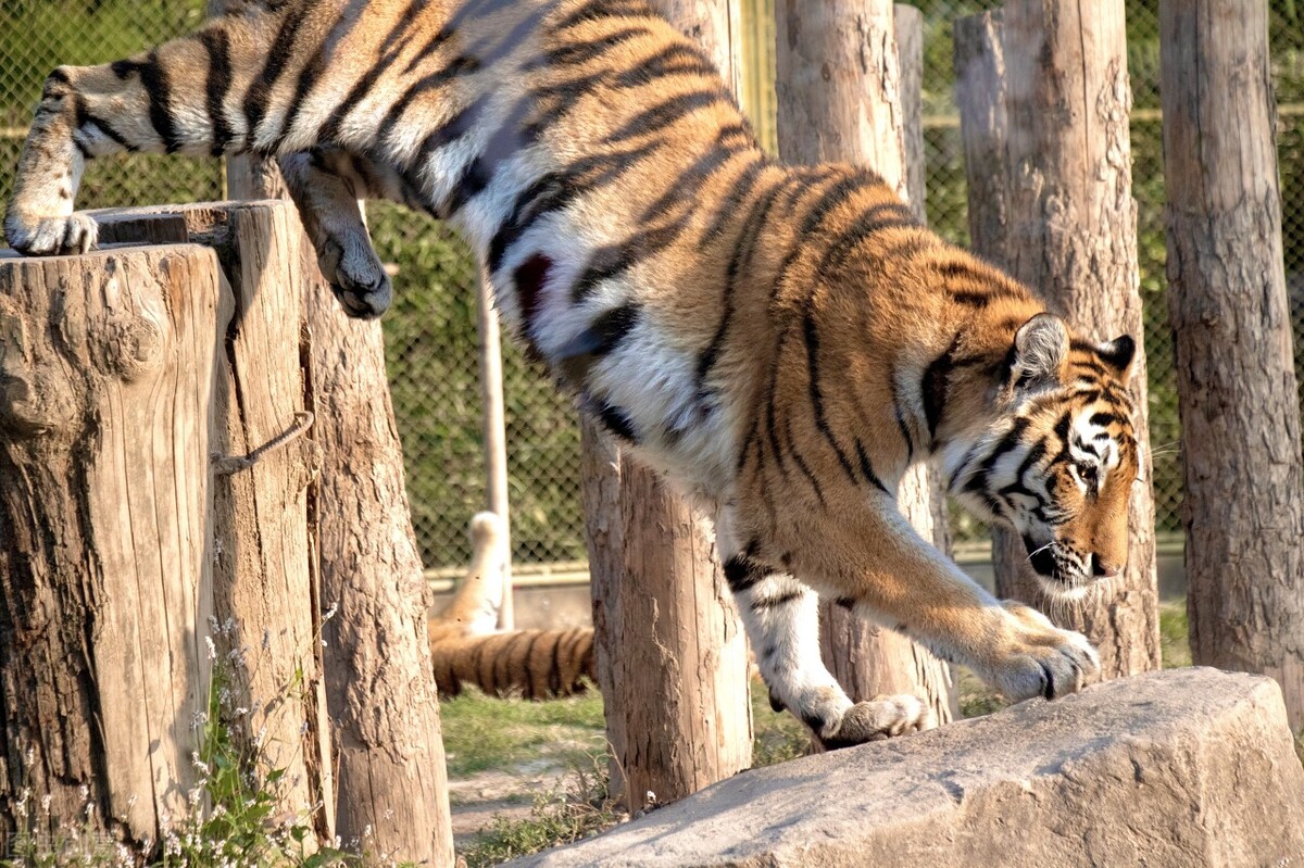 上海100公里左右有哪些旅游景点,上海旅游攻略带孩子必去景点