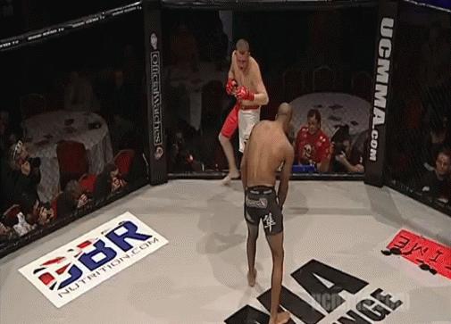 真实大象的照片,在野外拍到的真实大象