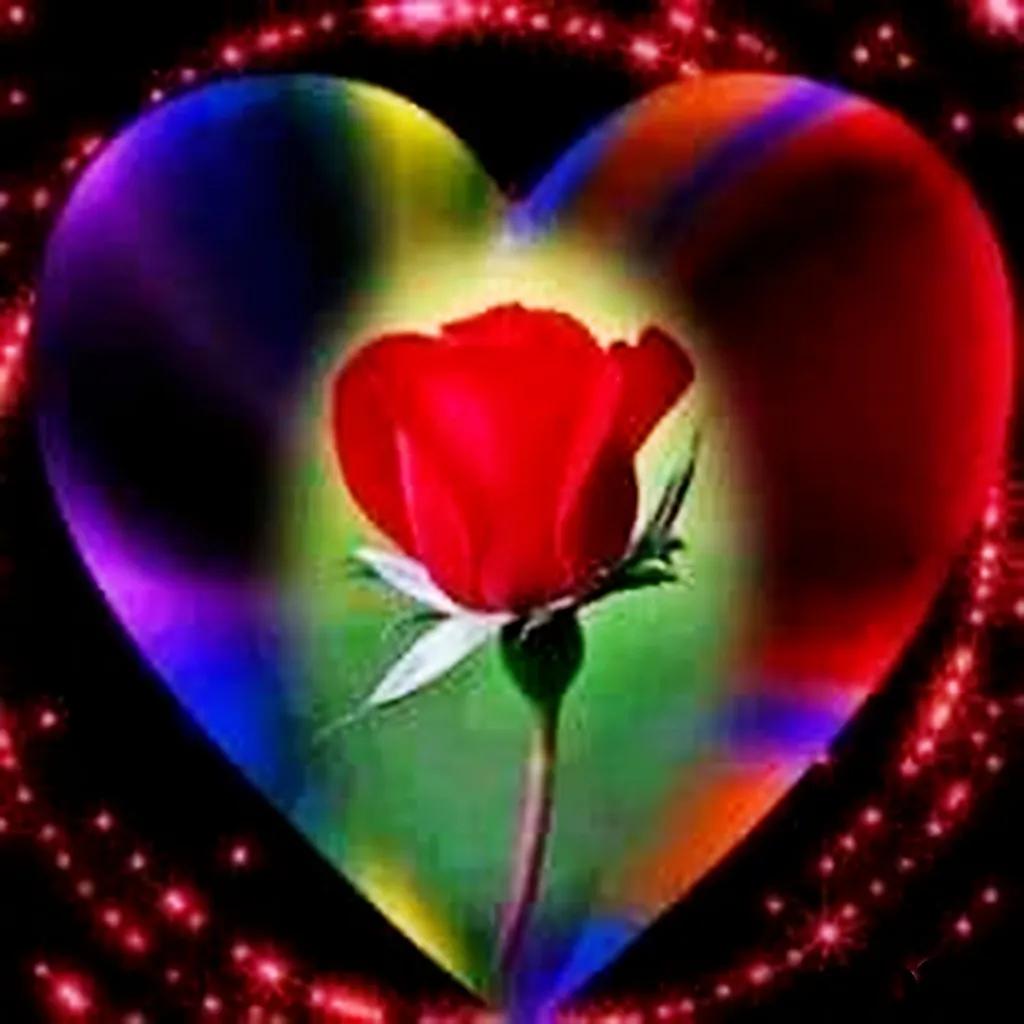 鲜花永远是女人的最爱,鲜花打动女人心