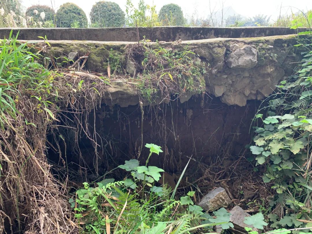 桂林向您汇报（阳朔篇）丨打通“肠梗阻”，“畅通”百姓心——福利镇新寨村疏通水渠助力农业生产