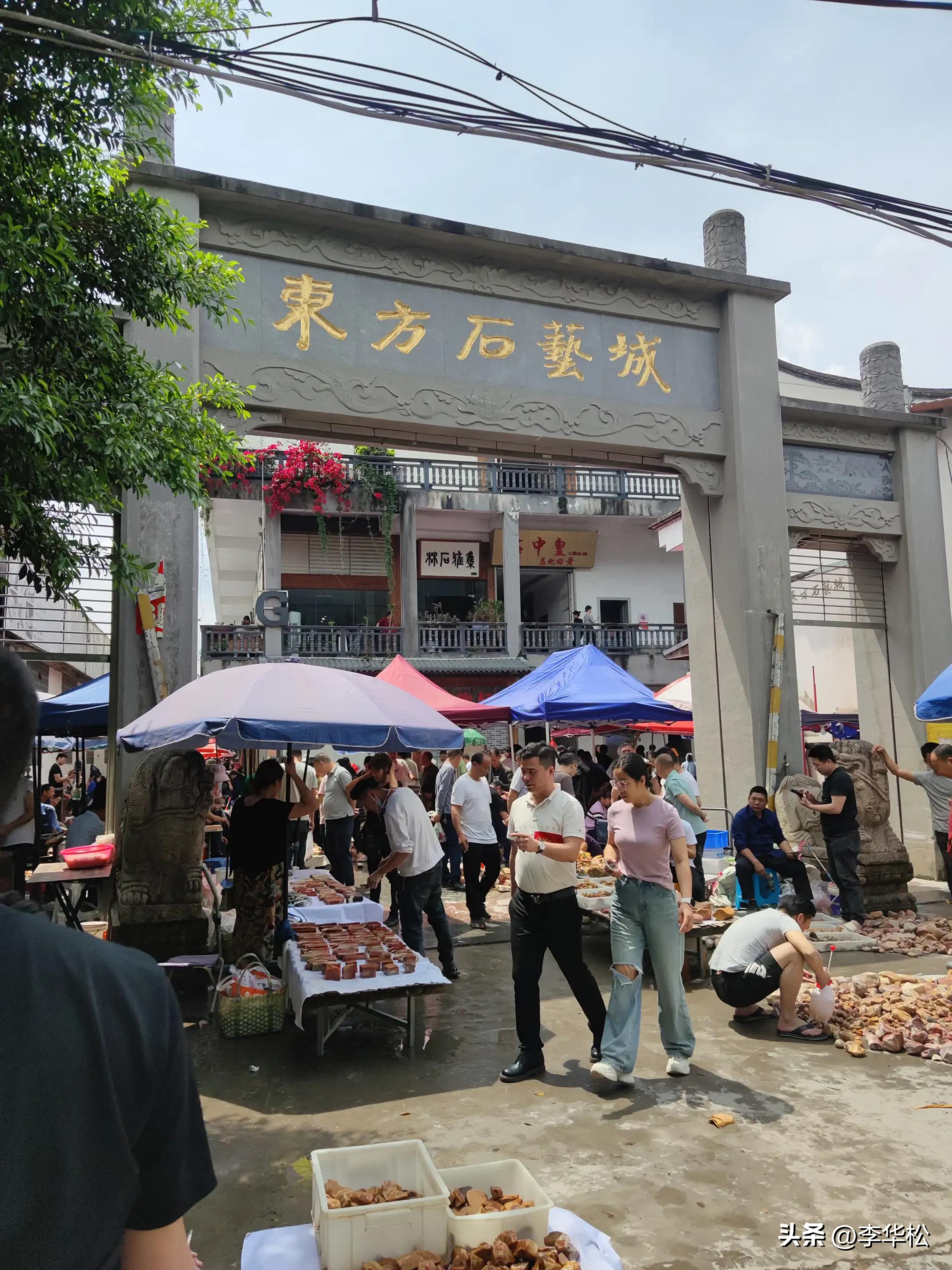 我去福州买石头喜遇纺织娘