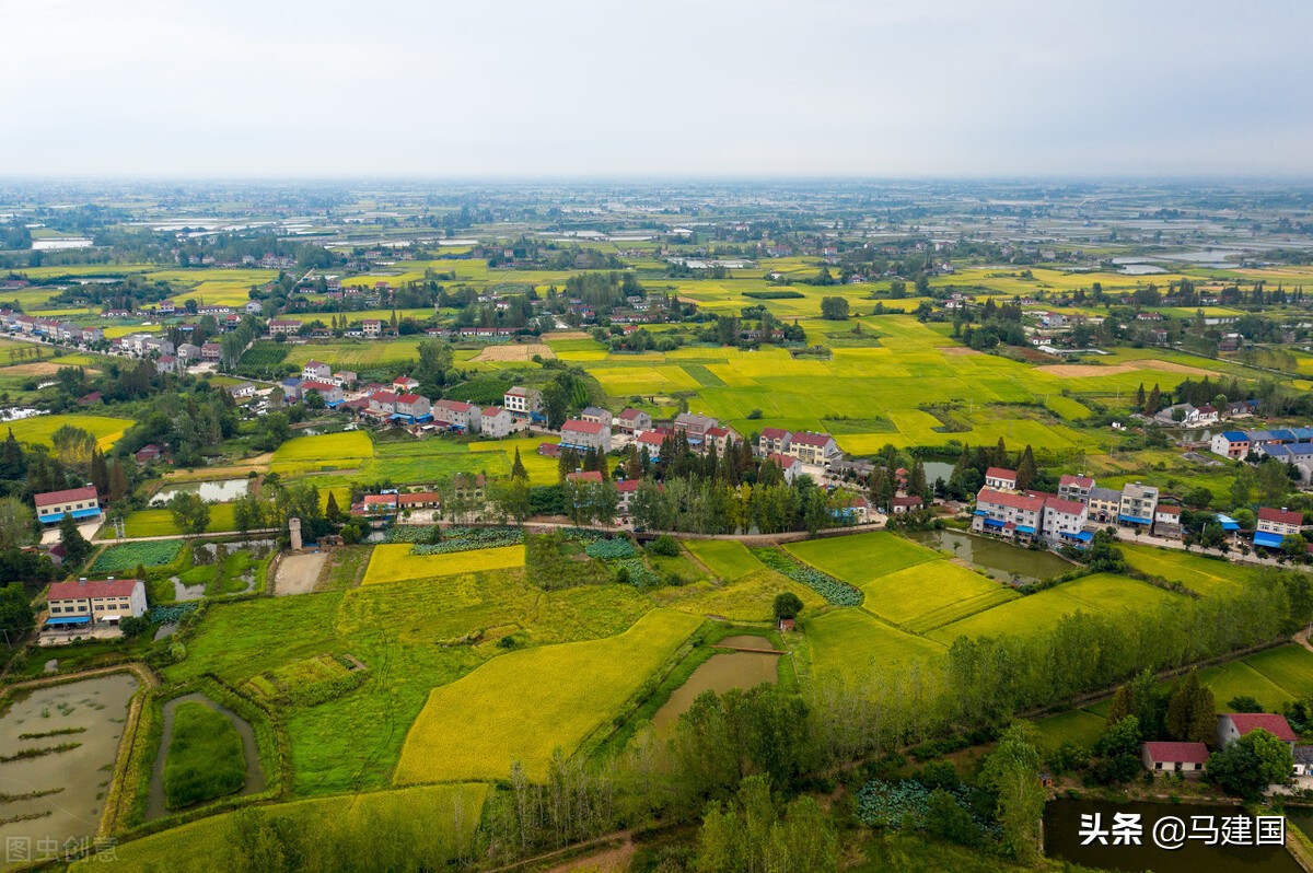 吃海底捞随笔,随笔吃馄饨