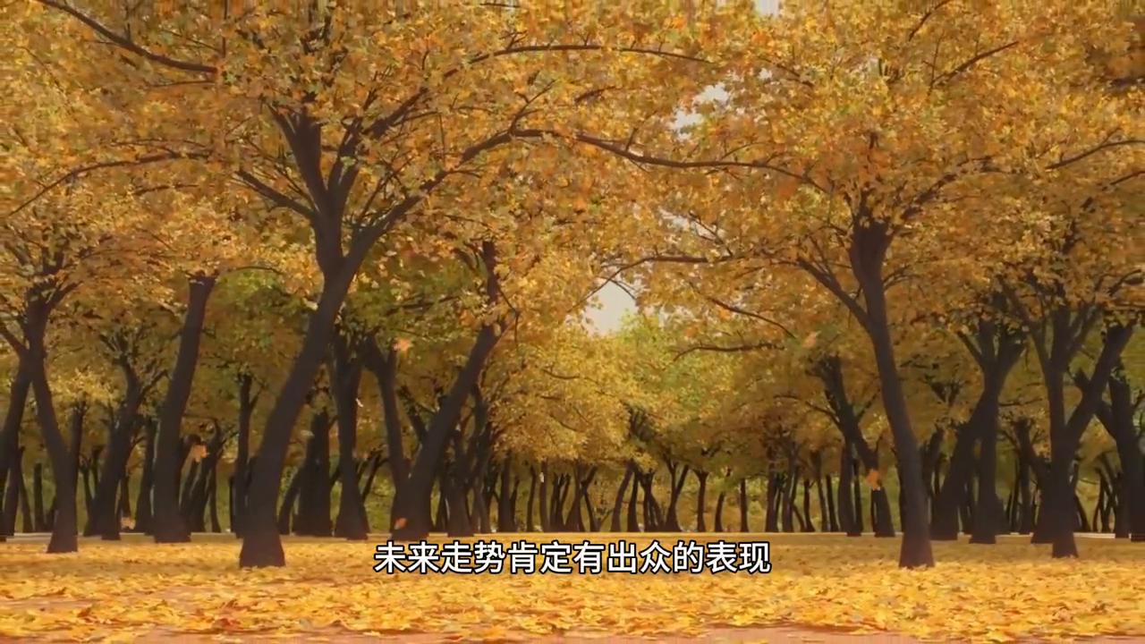 如何挑选适合自己的股票,如何选择适合自己的股票