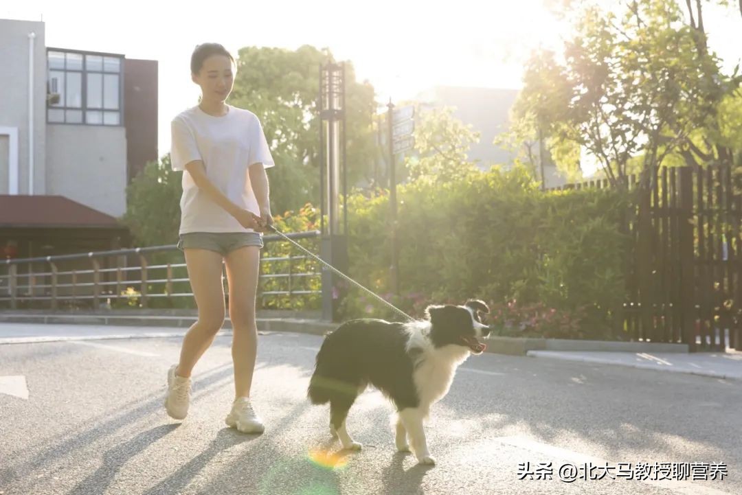 血瘀肥胖体质如何减肥,肥胖吃什么中成药效果最好