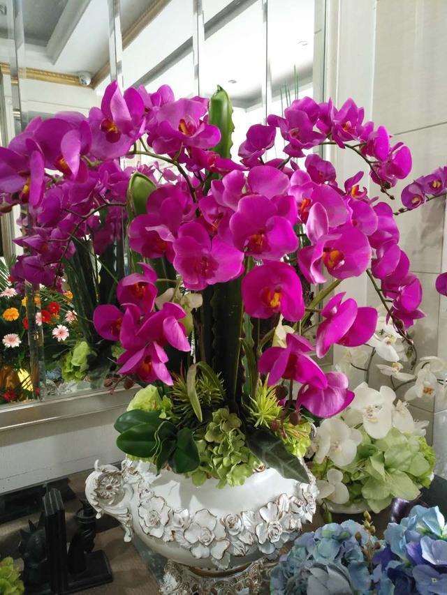 厕所除臭空气清新香氛,厕所吸味盆栽