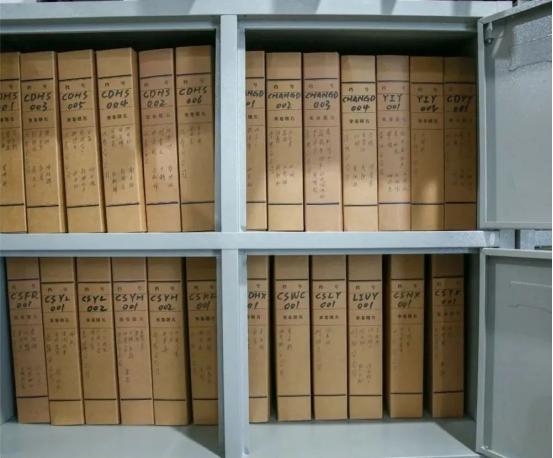 盛大金禧与国同行一起“绿”动