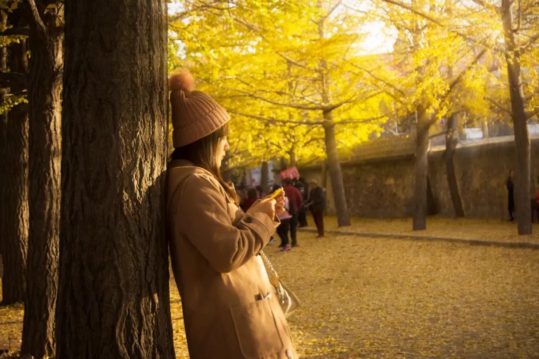 大连之旅的美景,大连海岛旅行感受