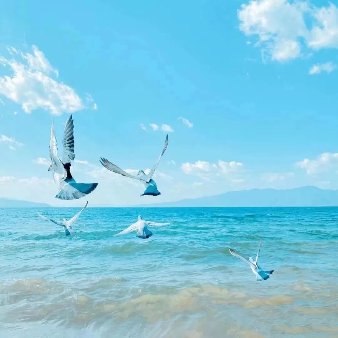 风景素材治愈系哪里找,高级感风景治愈系图片